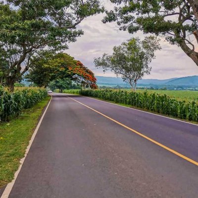 Carretera a Cerro Verde 