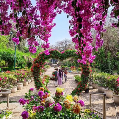 Lodhi Garden Entrance ❤️