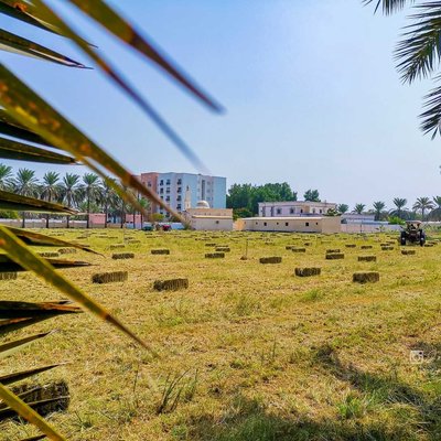 Beautiful View of A Farm 