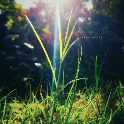 Nature vibes 