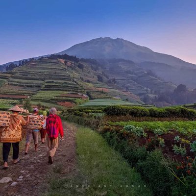 Petani Lereng Sumbing