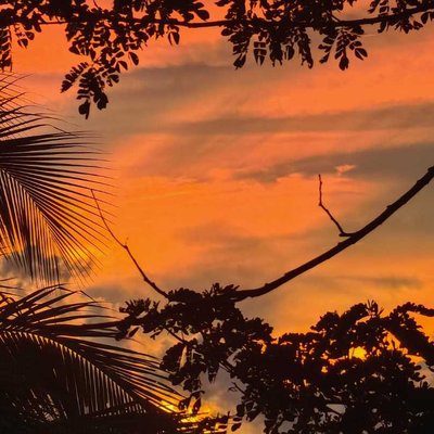 sunrise