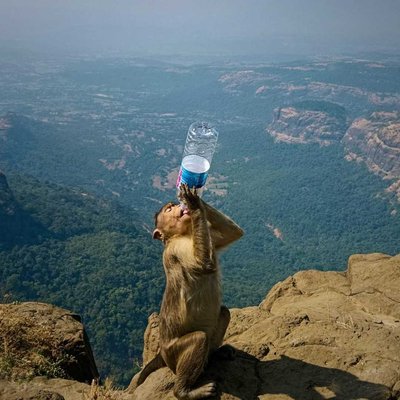 Nature & Plastic