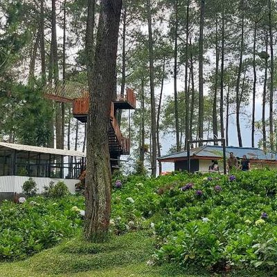 Orchid Forest Cikole