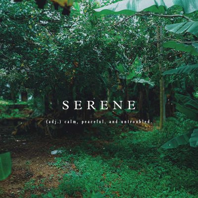 SERENE.