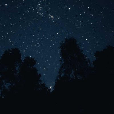 Lonely Night 