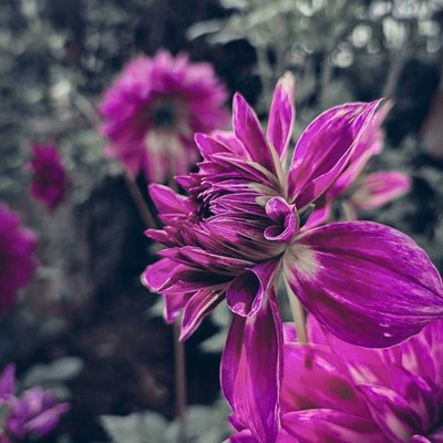 Nature has all the colours❤