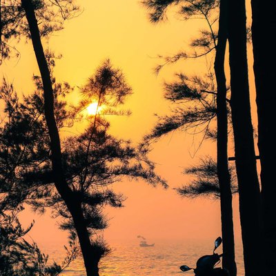 The Sunset 