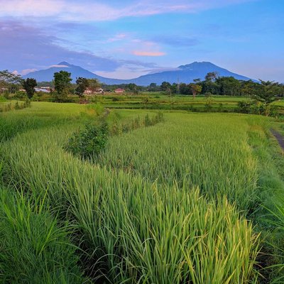 Wonderful Indonesia