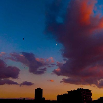 Gün batımına eşlik edenler🔅