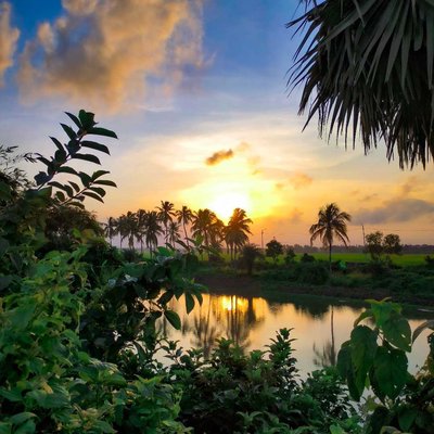 Sunset 