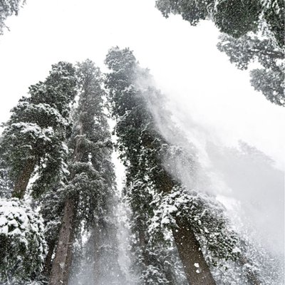 Snow Snow everywhere…