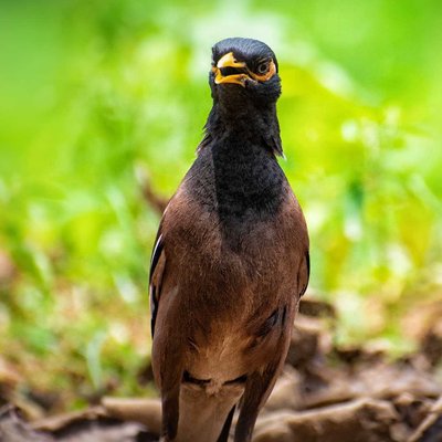 MyNa