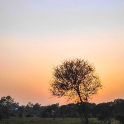 warm sunset 