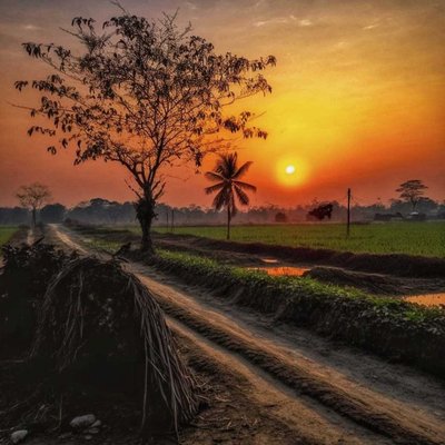 Nature Photography | 05