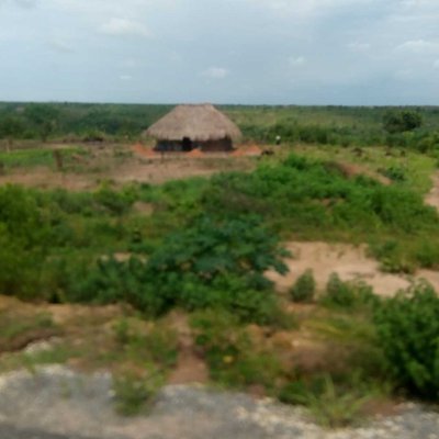 Natural environment