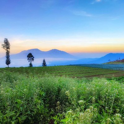 Keindahan Alam Di Puncak Brakseng 