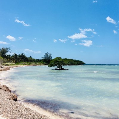 Cayo Jutias
