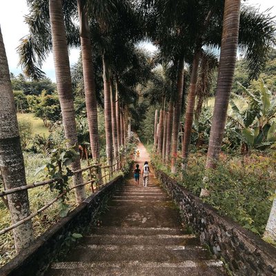 STAIRWAY OF HOLINESS