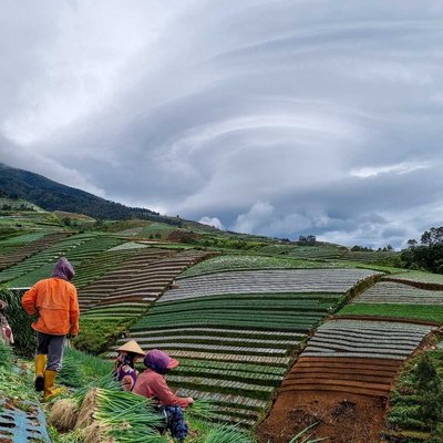 Panen di penghujung 2022