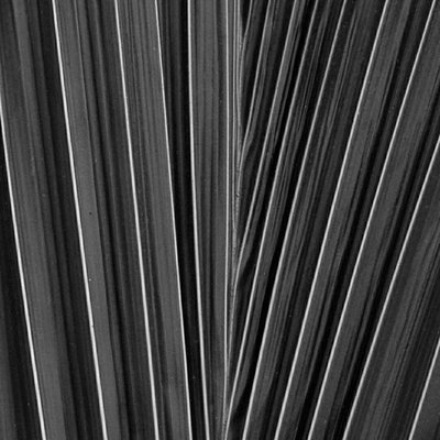 Leading lines 🖤