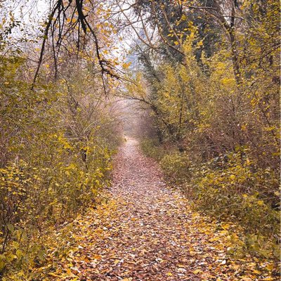 road to autumn 🍁