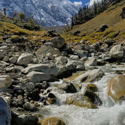 Dhundi Meadows