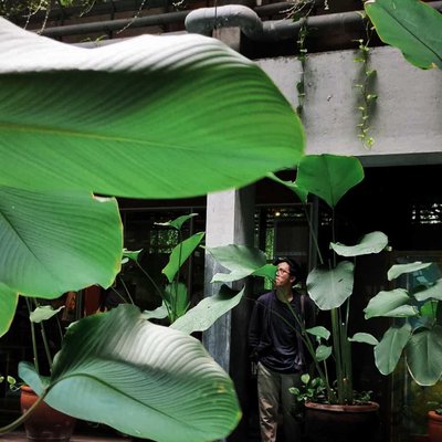 Green Lush Hotel