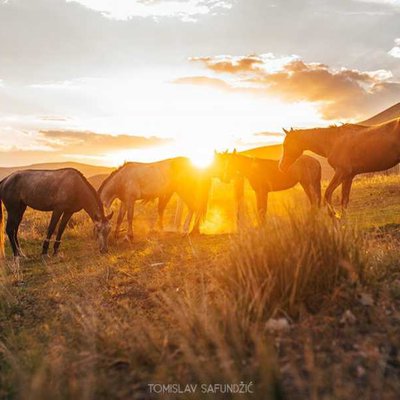 Nomads life style