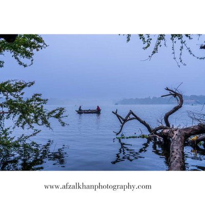 Cold Misty Morning today at Bhopal