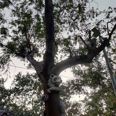 Save Trees