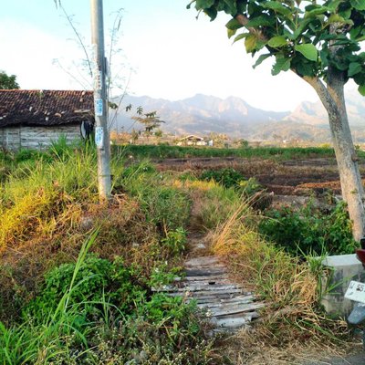 Pagi di Kembangsore Pacet