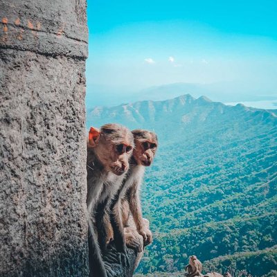 Rajgad fort
