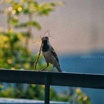 birdwatching 😁