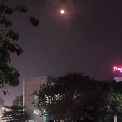 lovebirds+full moonlit night