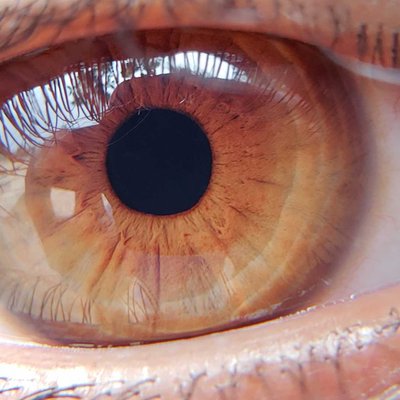Macro eye