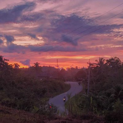 karya hari ini