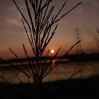 Sunset 📸