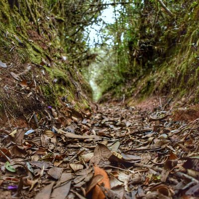Huellas de la Naturaleza