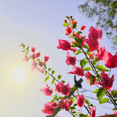 #SpringOnPindle