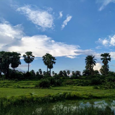 A Beautiful Nature 