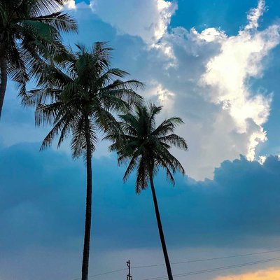Nature beauty 