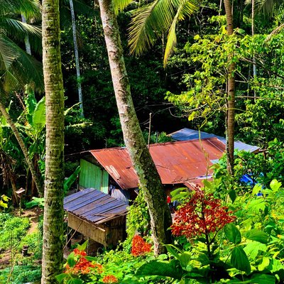 Hiden House in Flores Island 