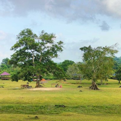 Bukit Kebo Km 8
