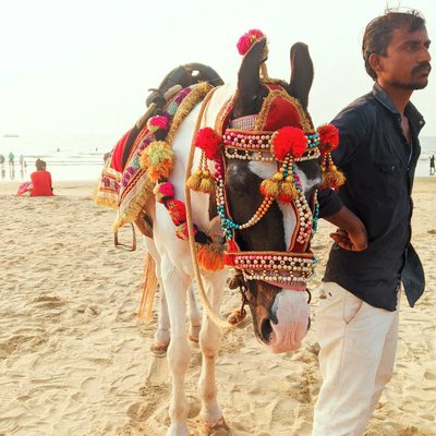 Karwar's attraction ❣️