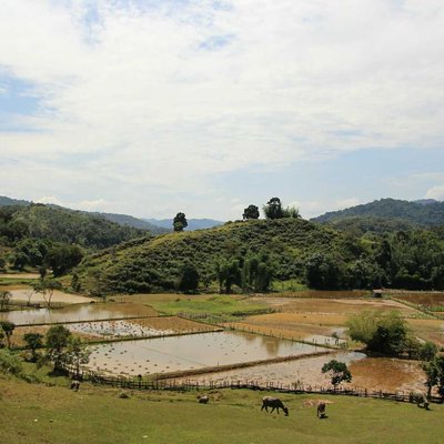6. Offroad's Virtual Tour