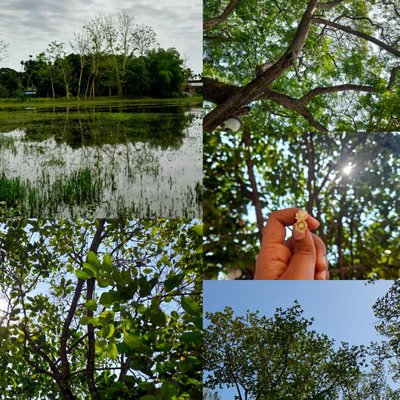 💚Nature....💚