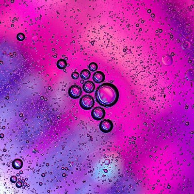 colourful macro world