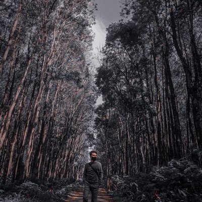 Lost of Map