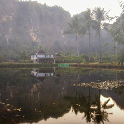 morning scene 